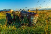 Days Gone Bye. Photo by Dave Bell.