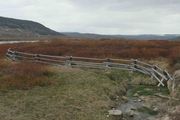 Buckrail Fence. Photo by Dave Bell.