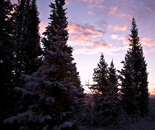 First Light On Beaver Ridge. Photo by Dave Bell.