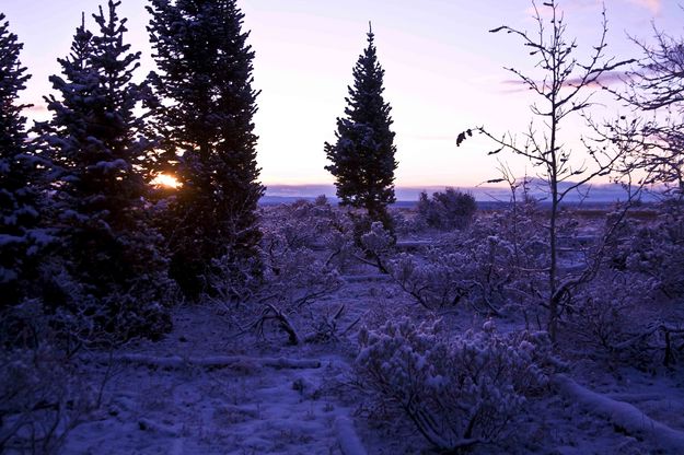 Beaver Ridge First Sun. Photo by Dave Bell.