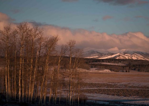 Morning Light On Aspen. Photo by Dave Bell.