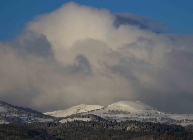 Winter Has Arrived!. Photo by Dave Bell.