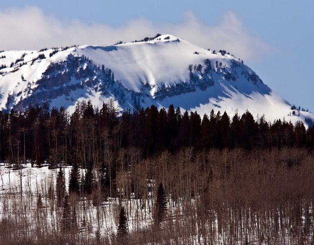 Ladybug Peak. Photo by Dave Bell.