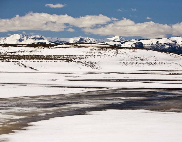 Spring Up Horse Creek. Photo by Dave Bell.