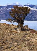 Fremont Lake. Photo by Dave Bell.