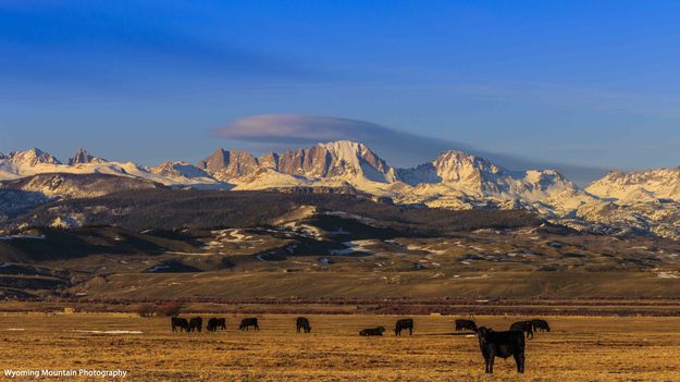 Quite A View. Photo by Dave Bell.