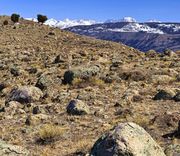 Rocky Landscape--Fremont Ridge. Photo by Dave Bell.