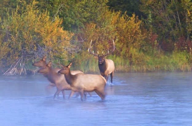 Gathering. Photo by Dave Bell.