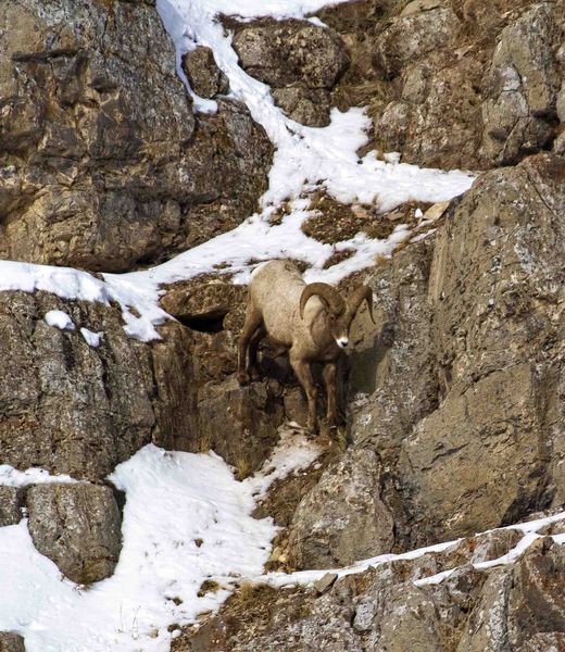 Going Down. Photo by Dave Bell.