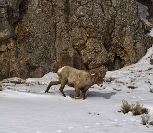 In Search Of....?. Photo by Dave Bell.