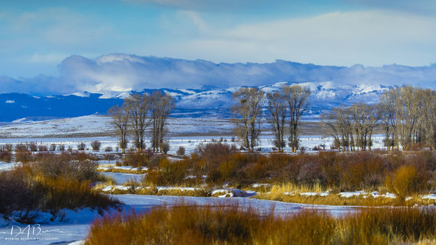 Frozen Green. Photo by Dave Bell.