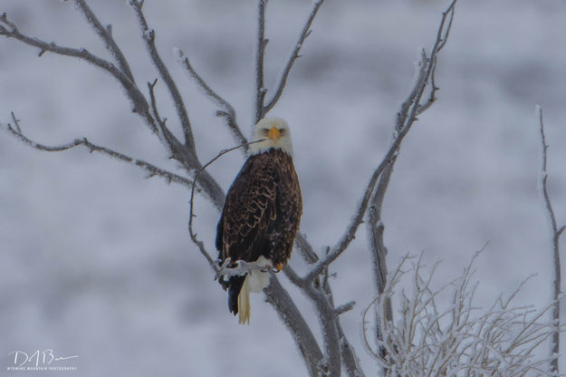 Seeing Me. Photo by Dave Bell.