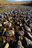 Rocky Bottom River Rock. Photo by Dave Bell.