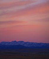 Sawtooth Pastel. Photo by Dave Bell.