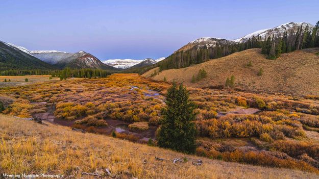 The Beautiful South Cottonwood Valley. Photo by Dave Bell.