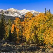 Fall Colors. Photo by Dave Bell.