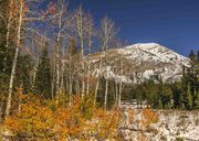 The Leaves, They Have A Fallen. Photo by Dave Bell.