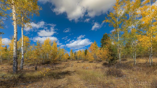 Fall Beauty. Photo by Dave Bell.