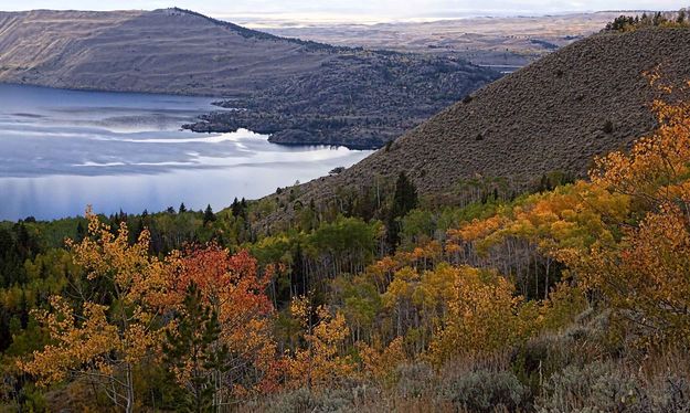 Fall Color. Photo by Dave Bell.