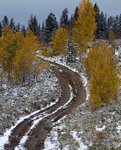 Snowy Mountain Road. Photo by Dave Bell.