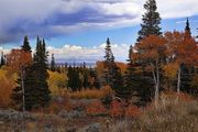 Wyoming Range Color. Photo by Dave Bell.