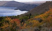 Fall Color. Photo by Dave Bell.