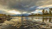 At The River. Photo by Dave Bell.