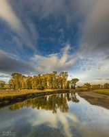 Calmness. Photo by Dave Bell.