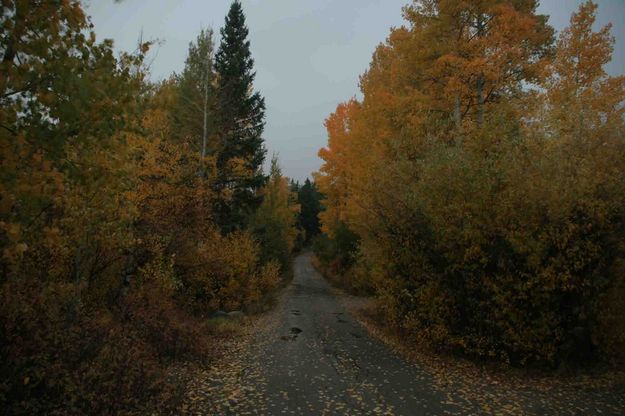 Upper Fremont Lake Campground. Photo by Dave Bell.