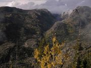 PIne Creek Canyon. Photo by Dave Bell.