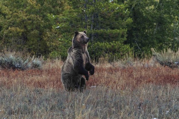 Raising Up. Photo by Dave Bell.