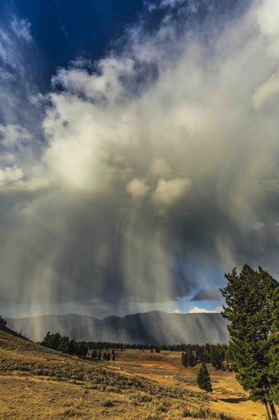 Fall Snow Showers. Photo by Dave Bell.