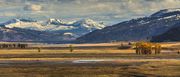 Georgeous Lamar Valley. Photo by Dave Bell.