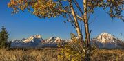 The Tetons. Photo by Dave Bell.