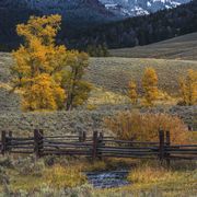 Yellowstone Institute. Photo by Dave Bell.