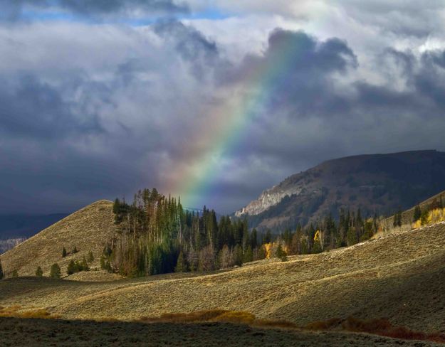 Rainbow. Photo by Dave Bell.