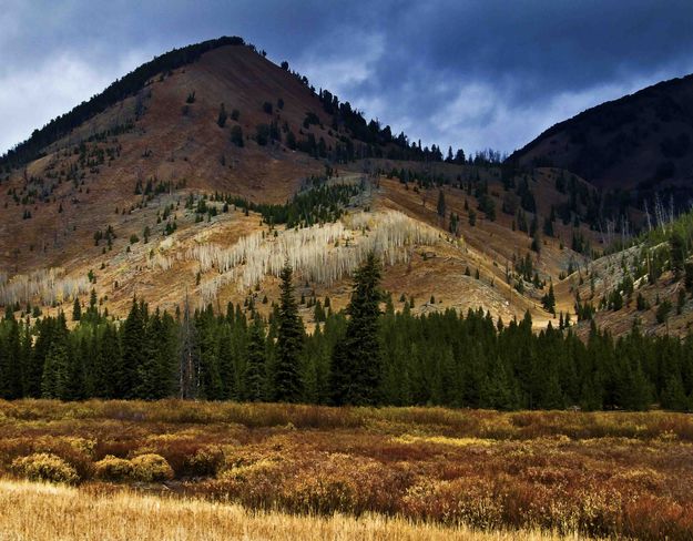 Scenery Along South Cottonwood Creek. Photo by Dave Bell.