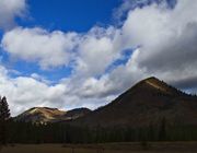 Blue Skies. Photo by Dave Bell.