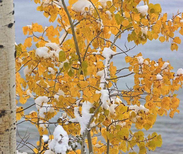 Changing Seasons. Photo by Dave Bell.