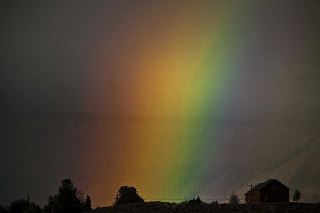 Heavenly Patch. Photo by Dave Bell.