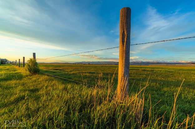 Sunset Fenceline. Photo by Dave Bell.