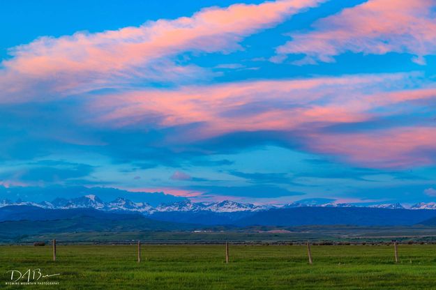 Beautiful Color. Photo by Dave Bell.