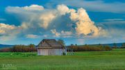 Old Barn. Photo by Dave Bell.