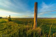 Sunset Fenceline. Photo by Dave Bell.