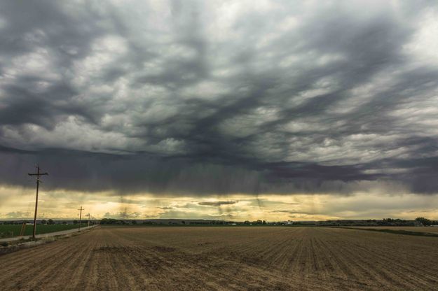 Freshly Planted Field. Photo by Dave Bell.