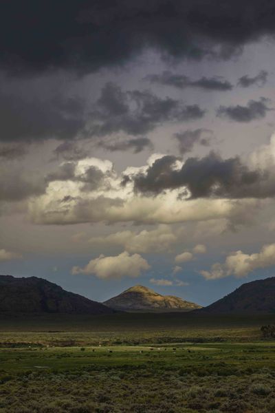 The Last Of The Sunshine. Photo by Dave Bell.