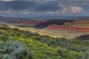 Red Canyon Color. Photo by Dave Bell.