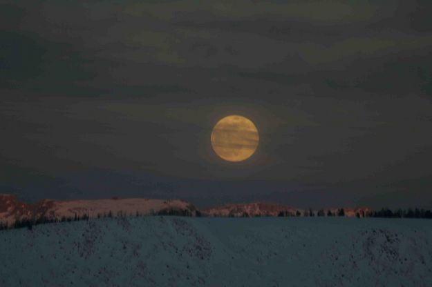 Full Moon Over Half Moon Mountain. Photo by Dave Bell.