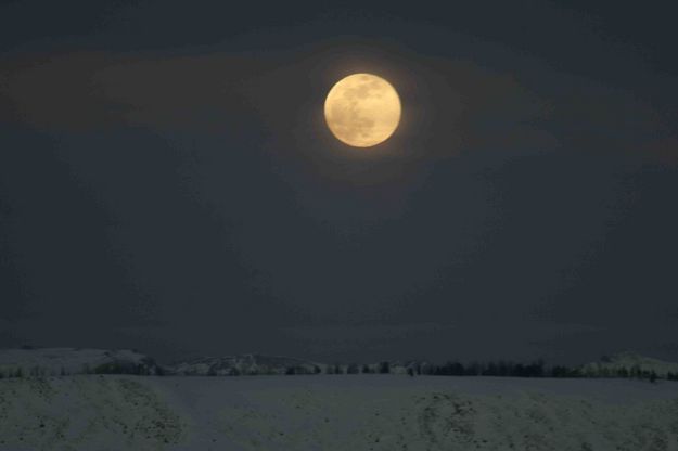 February Full Snow Moon. Photo by Dave Bell.