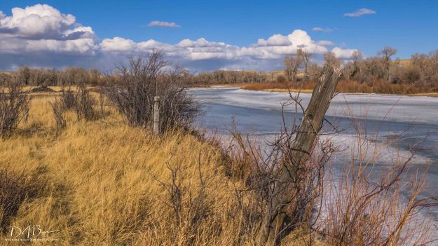 Looking Upstream. Photo by Dave Bell.